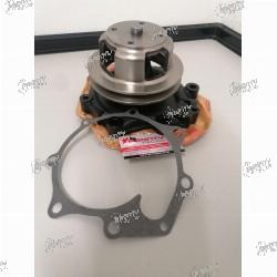 Bomba de Água Ford