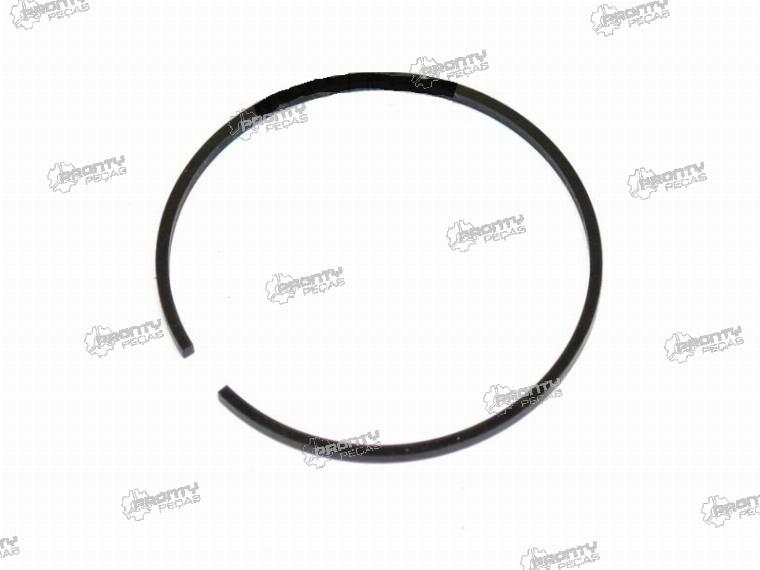 SEGMENTO