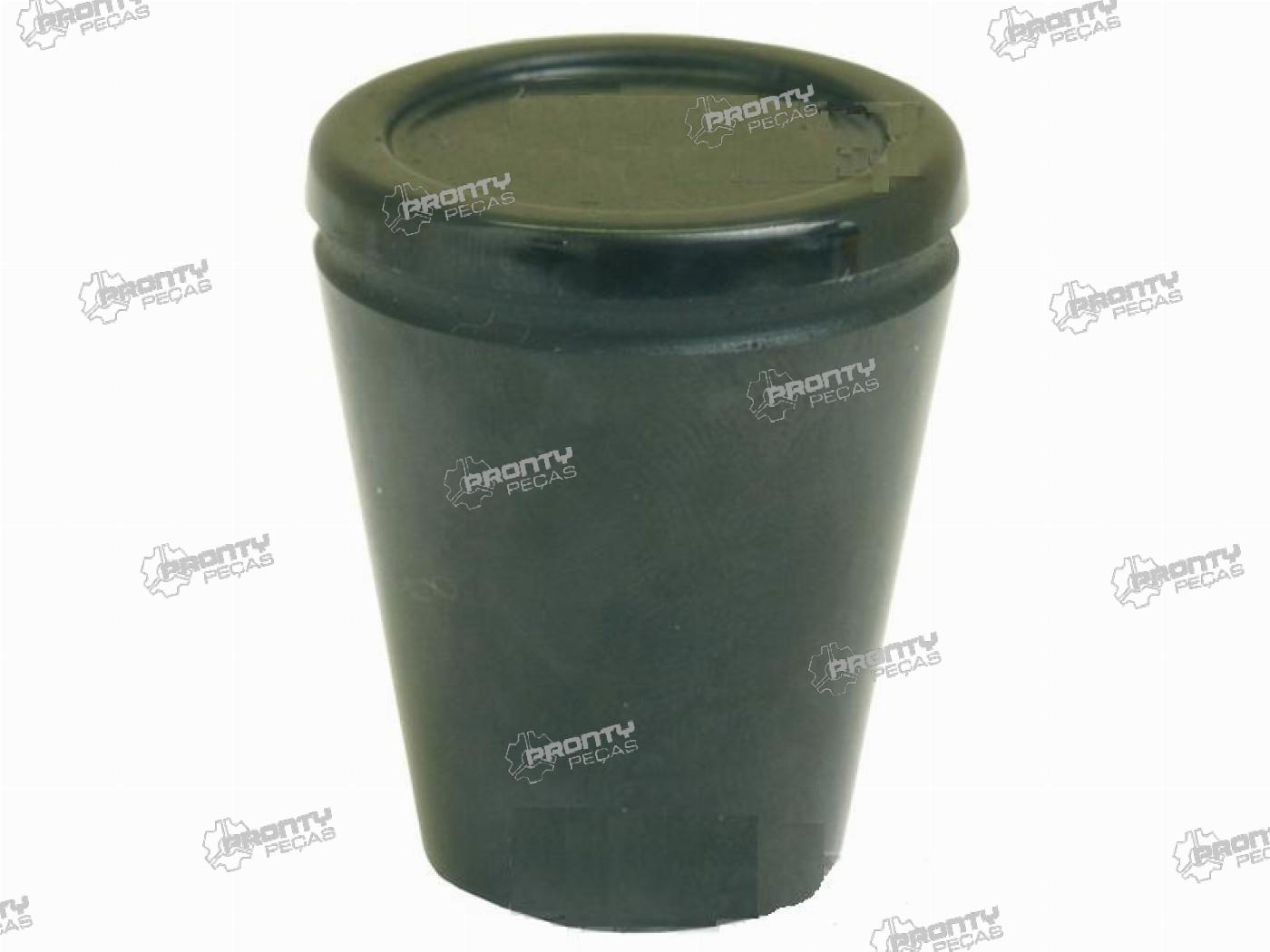 PUNHO