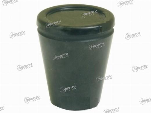 PUNHO